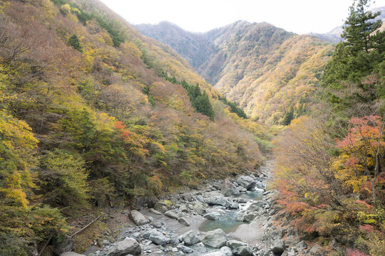 観光のバナーや背景素材に使いやすい紅葉した日本の渓谷 山梨県