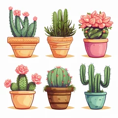 Poster de jardin Cactus en pot Home plants cactus in pots