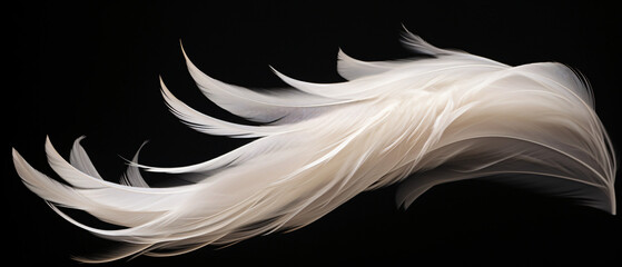White light airy soft bird feather