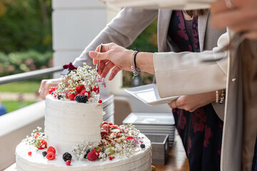 Kuchen, Hochzeit, Feier 19