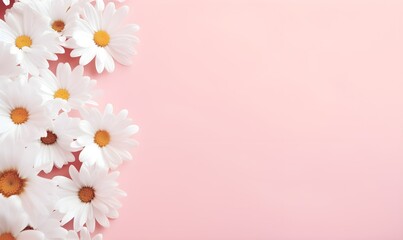 White daisy chamomile flowers on pale pink background. Creative lifestyle, summer, spring concept. Copy Space. Generative AI