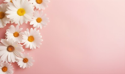 White daisy chamomile flowers on pale pink background. Creative lifestyle, summer, spring concept. Copy Space. Generative AI