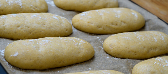 Surowe drożdżowe bułeczki rosną na blaszce do pieczenia w piekarni