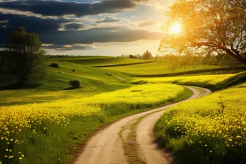 Poster Beautiful landscape with green field and blue sky with clouds © pilipphoto