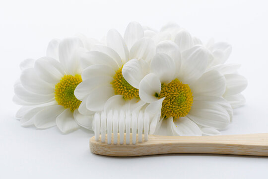 白い花と歯ブラシ