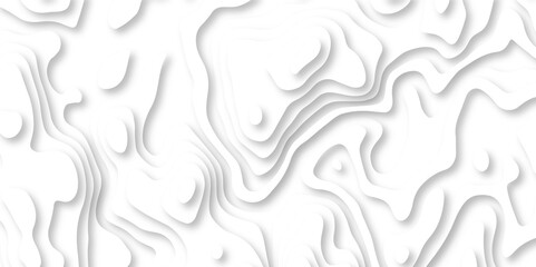 Seamless abstract white papercutbackground 3d realistic design use for ads banner and advertising print design vector. 3d topography relief. Vector topographic illustration. - obrazy, fototapety, plakaty