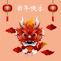dragon and mandarin letters chinese new year pink background