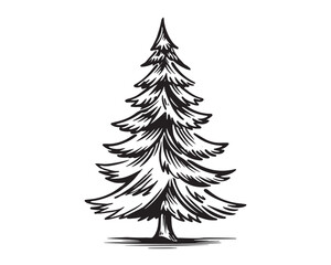 Christmas tree hand drawn illustrations