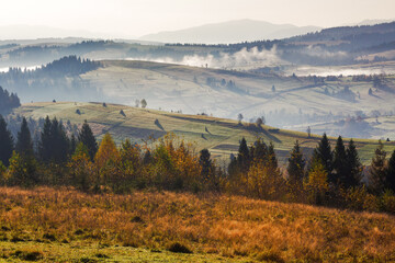 rural landscape with rolling hills in morning mist. carpathian countryside scenery in autumn