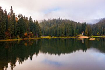 Fototapeta na wymiar mountain lake among coniferous forest in autumn. nature scenery on a misty morning with overcast sky. landscape reflecting in the water