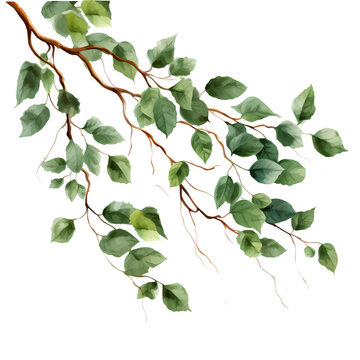 Trees leaves limb composition, isolated on transparent background, png, 300 DPI