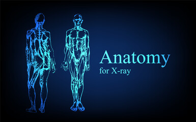 Human anatomy in front on x ray view. Anatomy human body connection, Medical, educational or science banner on futuristic blue background, Vector hand drawn illustration