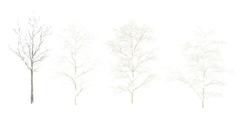 3d rendering of Winter trees on snow isolated background