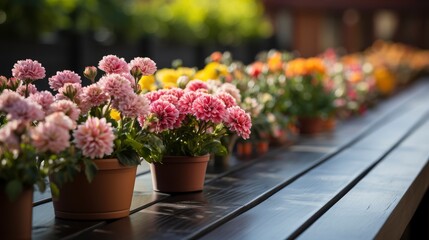 Fototapeta na wymiar Gardening Tools Flowers On Terrace Garden, HD, Background Wallpaper, Desktop Wallpaper