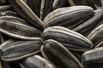 Sunflower seeds long, unpeeled, with strips, in bulk, close-up, background
