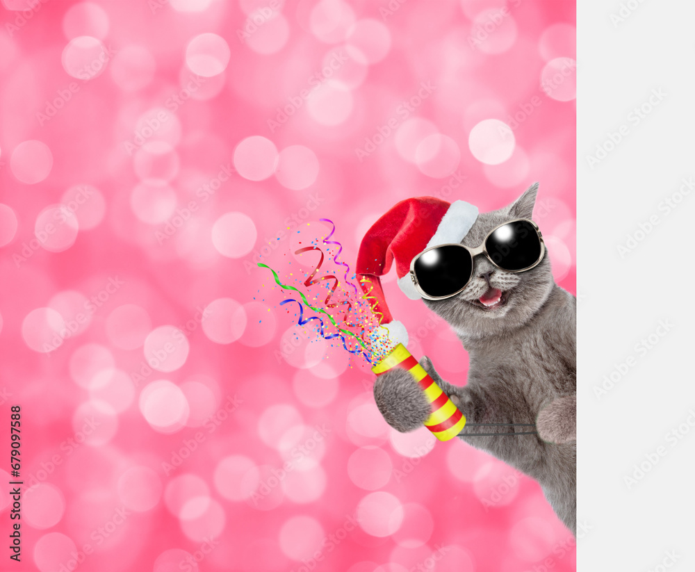 Aufkleber Happy cat wearing red santa hat holds exploding firecracker and looks from behind empty white banner on festive blurred background