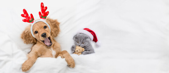 Yawning English Cocker spaniel puppy dressed like santa claus reindeer  Rudolf lying with cozy...