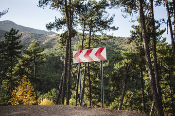 Forest road with a road sign