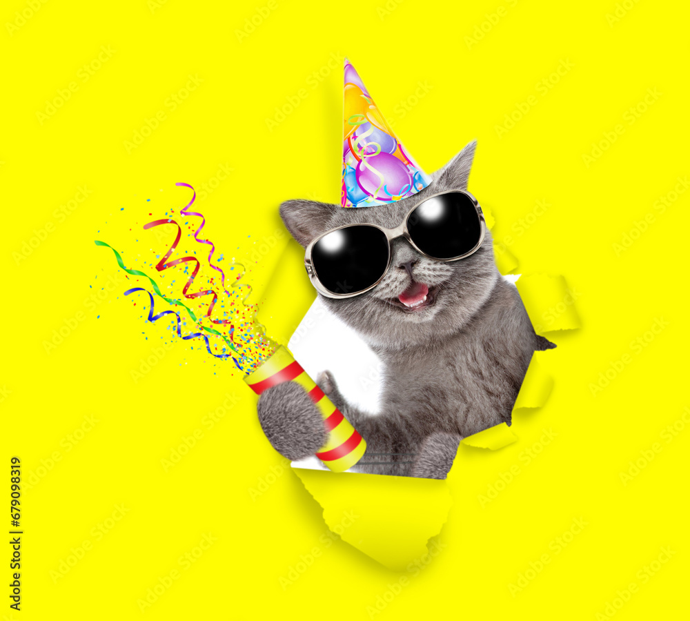 Poster happy cat wearing wearing sunglasses and party cap looks through a hole in yellow paper, blows in pa