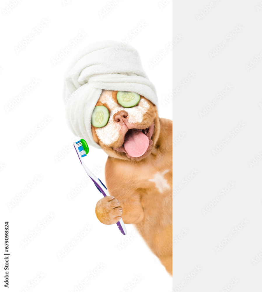 Poster Happy Mastiff puppy with towel on it head with pieces of cucumber on it eyes and with cream on it face holds shower brush behind empty white banner. isolated on white background