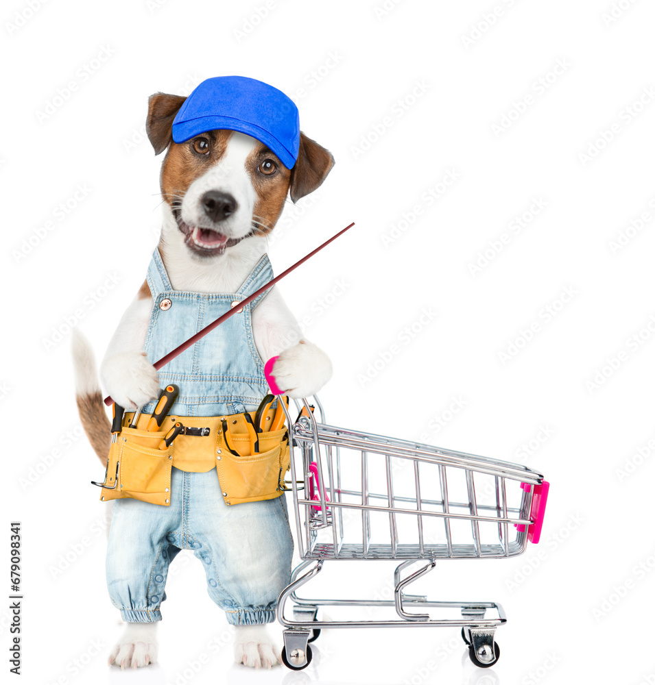 Poster funny jack russell terrier puppy wearing blue cap and denim overalls with tool belt pushing the shop