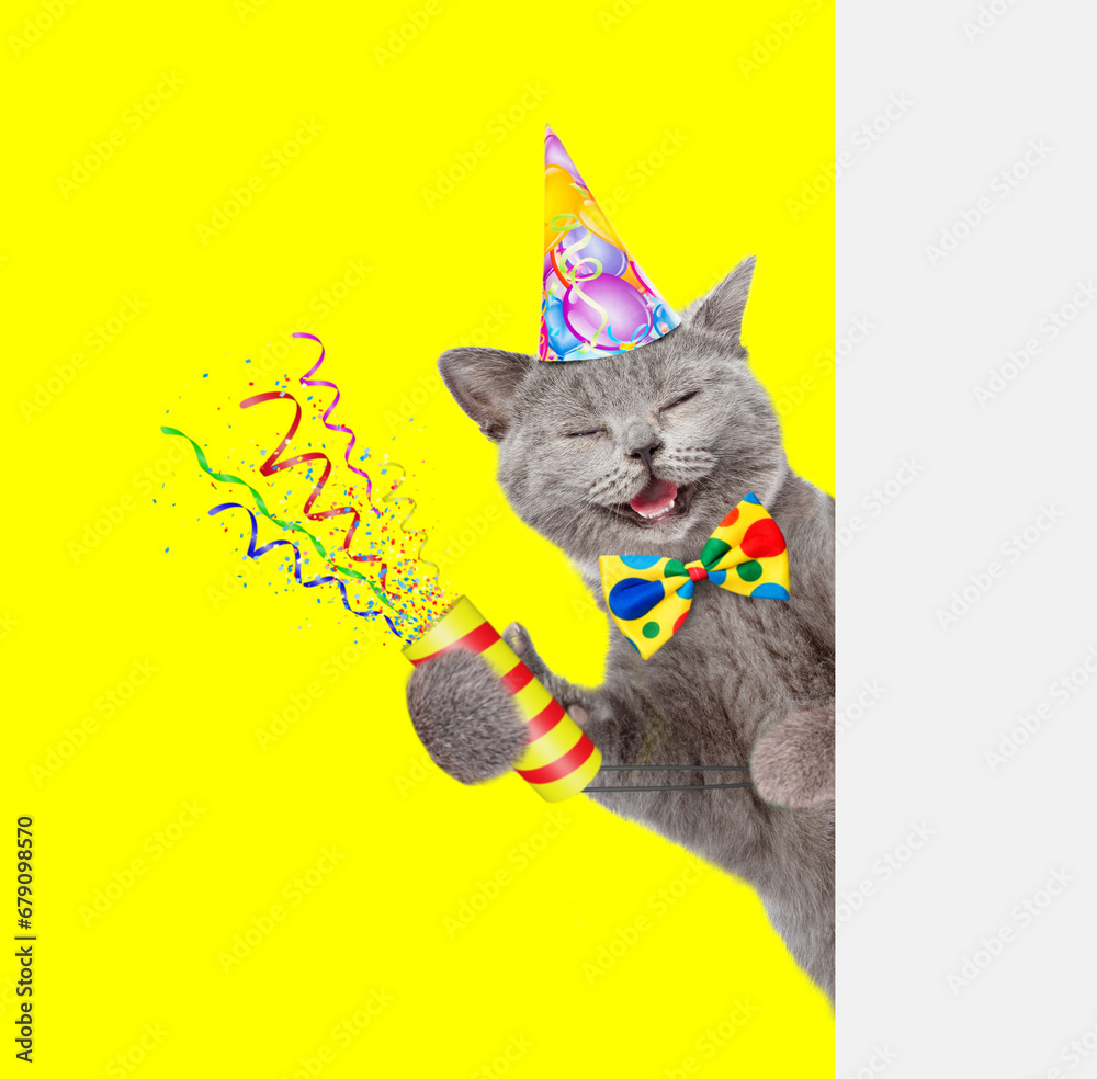 Aufkleber Happy cat wearing party cap holds exploding firecracker and looks from behind empty white banner. Isolated on yellow background