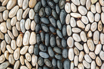 Background round smooth stones pebbles and shell rock.