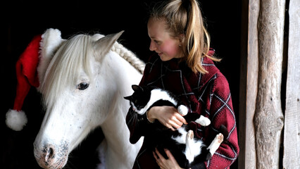 Weißes Pferd im Herbst und Advent