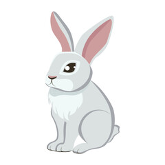 Hare. Cartoon graphic drawing.  Close-up. White background. For web design, print, kids illustrations, stickers.