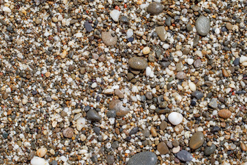 Oval wet stones on pebble beach, multicolored, close-up