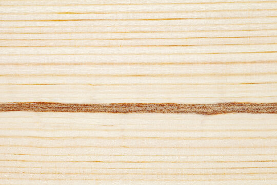 Wooden surface, close-up structure, thick wood fiber, with horizontal parallel stripes are dark, background