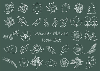 冬の植物のアイコンセット　チョークアート風