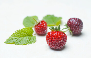 Strawberries on a white background