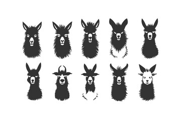 Cute funny llama faces illustrations silhouette. Vector illustration design.