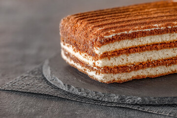 Layered chocolate cake on slate stone plate round, gray tablecloth, dark background, selective focus, side view