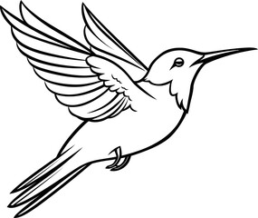 Hummingbird black and white coloring page, vector stock photo