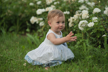 Small hands meet soft petals, a young mind's engagement visible. Useful for discussions on the...