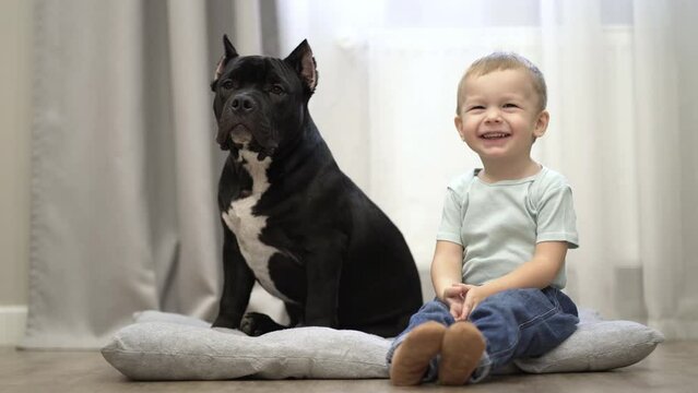 little boy sitting with a american bully dog and hugging it