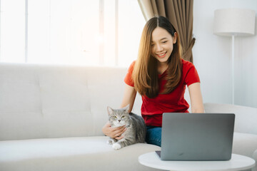  Asian woman using laptop sitting on couch at home, with relaxed sleeping ginger cat