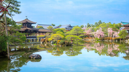 Fototapeta na wymiar Kyoto, Japan - April 2 2023: Heian Jingu Garden is a garden with a variety of plants, ponds and buildings and weeping cherry trees, making it's one of the best cherry blossom spots in Kyoto