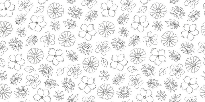 Linear groovy floral and herbal seamless pattern. Line art botanical flowers. Summer and spring garden. Doodles. Coloring book. Background, wrapping paper, digital paper.