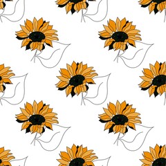 Seamless patterns of sunflowers hand-drawn, botanical