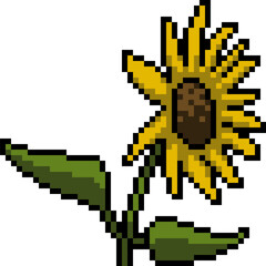 Obraz premium pixel art yellow sunflower bloom