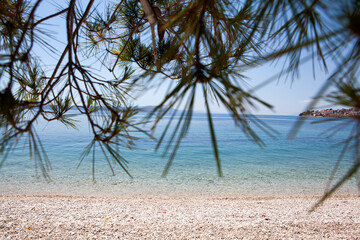 Fototapeta na wymiar Stock photo on the theme Beautiful landscape of the Baltic Sea. Sunny day. Pine trees