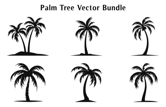 Palm trees vector silhouettes set isolated on a white background, Tropical palm trees Bundle