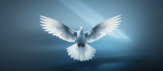 Human rights symbol in the form of a dove Copy space image Place for adding text or design - obrazy, fototapety, plakaty