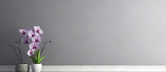Grey wall and orchid in plain living room Copy space image Place for adding text or design