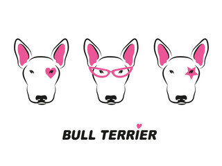Bull terrier vector illustration. Cute dogs faces