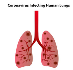 coronavirus affects human lungs vector design
