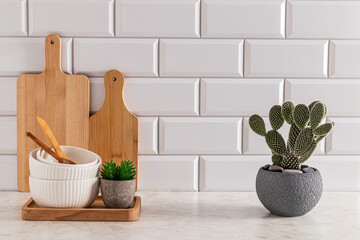 Set of ceramic bowls and cutting boards on stone light countertop in modern kitchen with potted opuntia, cactus . Front view. minimalism.